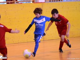 mini-2016-01-30-DSC_4537